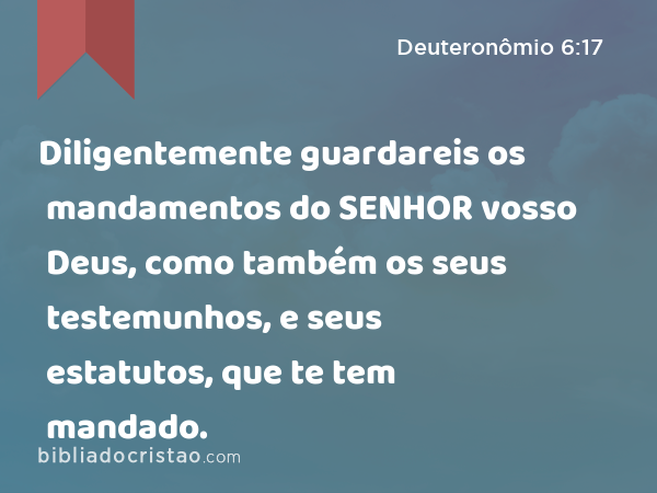 Diligentemente guardareis os mandamentos do SENHOR vosso Deus, como também os seus testemunhos, e seus estatutos, que te tem mandado. - Deuteronômio 6:17