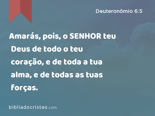 Amarás, pois, o SENHOR teu Deus de todo o teu coração, e de toda a tua alma, e de todas as tuas forças. - Deuteronômio 6:5