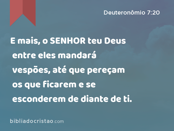 E mais, o SENHOR teu Deus entre eles mandará vespões, até que pereçam os que ficarem e se esconderem de diante de ti. - Deuteronômio 7:20