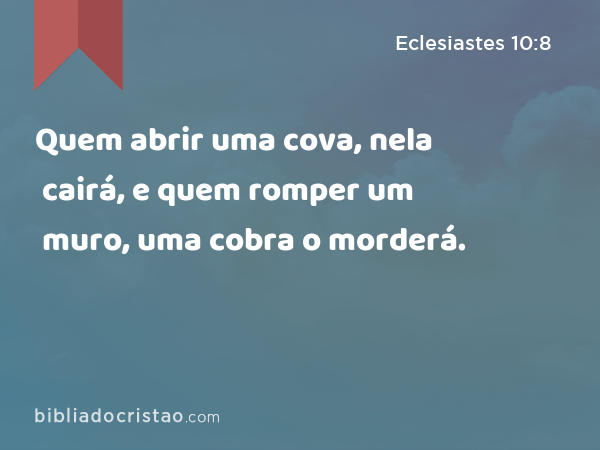 Quem abrir uma cova, nela cairá, e quem romper um muro, uma cobra o morderá. - Eclesiastes 10:8