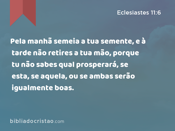 Pela manhã semeia a tua semente, e à tarde não retires a tua mão, porque tu não sabes qual prosperará, se esta, se aquela, ou se ambas serão igualmente boas. - Eclesiastes 11:6