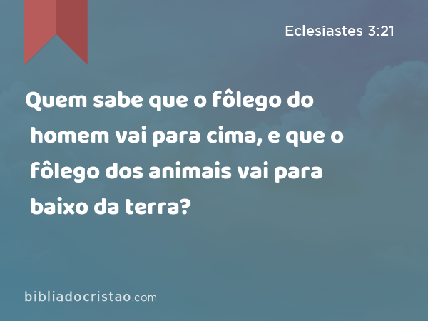 Quem sabe que o fôlego do homem vai para cima, e que o fôlego dos animais vai para baixo da terra? - Eclesiastes 3:21