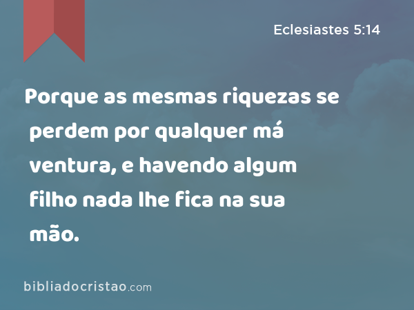 Porque as mesmas riquezas se perdem por qualquer má ventura, e havendo algum filho nada lhe fica na sua mão. - Eclesiastes 5:14