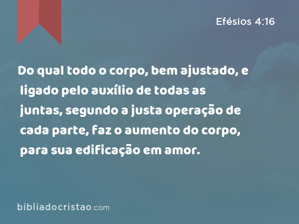 Do qual todo o corpo, bem ajustado, e ligado pelo auxílio de todas as juntas, segundo a justa operação de cada parte, faz o aumento do corpo, para sua edificação em amor. - Efésios 4:16