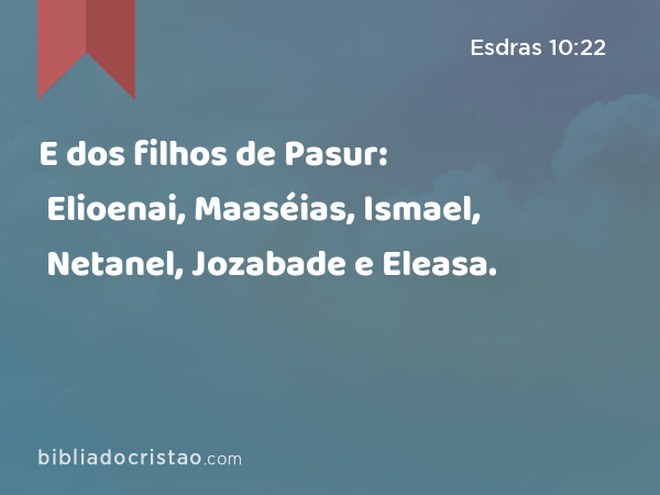 E dos filhos de Pasur: Elioenai, Maaséias, Ismael, Netanel, Jozabade e Eleasa. - Esdras 10:22
