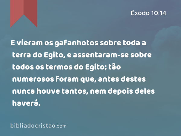 E vieram os gafanhotos sobre toda a terra do Egito, e assentaram-se sobre todos os termos do Egito; tão numerosos foram que, antes destes nunca houve tantos, nem depois deles haverá. - Êxodo 10:14