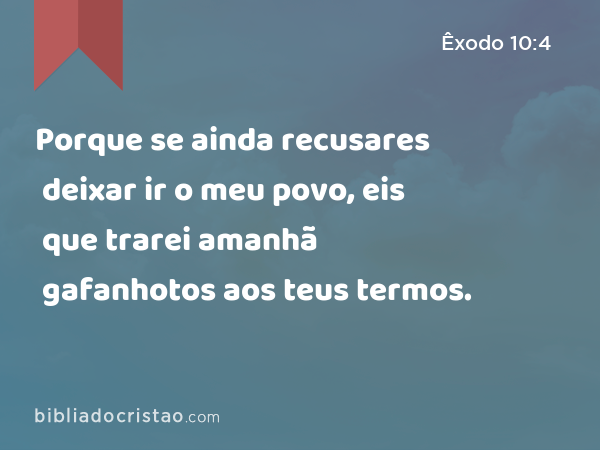 Porque se ainda recusares deixar ir o meu povo, eis que trarei amanhã gafanhotos aos teus termos. - Êxodo 10:4