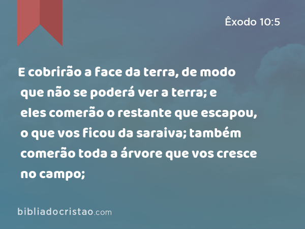 E cobrirão a face da terra, de modo que não se poderá ver a terra; e eles comerão o restante que escapou, o que vos ficou da saraiva; também comerão toda a árvore que vos cresce no campo; - Êxodo 10:5