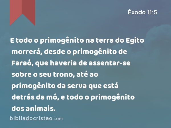 E todo o primogênito na terra do Egito morrerá, desde o primogênito de Faraó, que haveria de assentar-se sobre o seu trono, até ao primogênito da serva que está detrás da mó, e todo o primogênito dos animais. - Êxodo 11:5