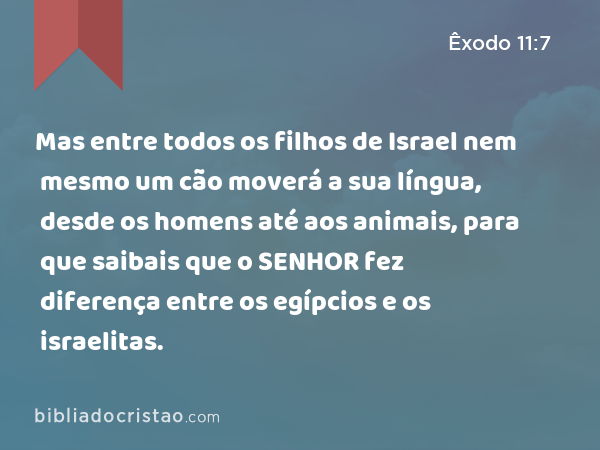 Mas entre todos os filhos de Israel nem mesmo um cão moverá a sua língua, desde os homens até aos animais, para que saibais que o SENHOR fez diferença entre os egípcios e os israelitas. - Êxodo 11:7