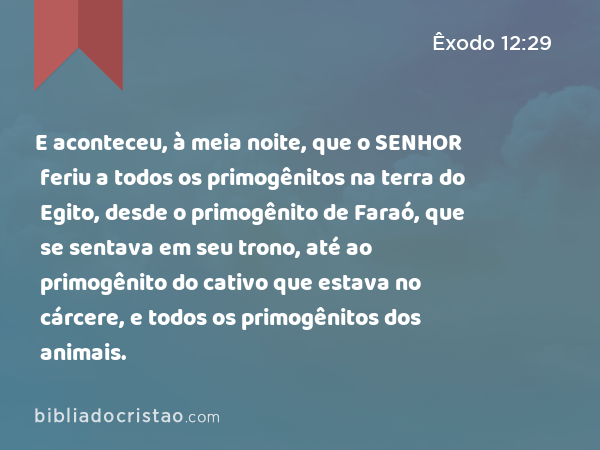 E aconteceu, à meia noite, que o SENHOR feriu a todos os primogênitos na terra do Egito, desde o primogênito de Faraó, que se sentava em seu trono, até ao primogênito do cativo que estava no cárcere, e todos os primogênitos dos animais. - Êxodo 12:29