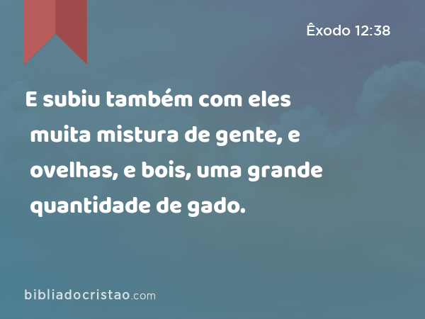 E subiu também com eles muita mistura de gente, e ovelhas, e bois, uma grande quantidade de gado. - Êxodo 12:38