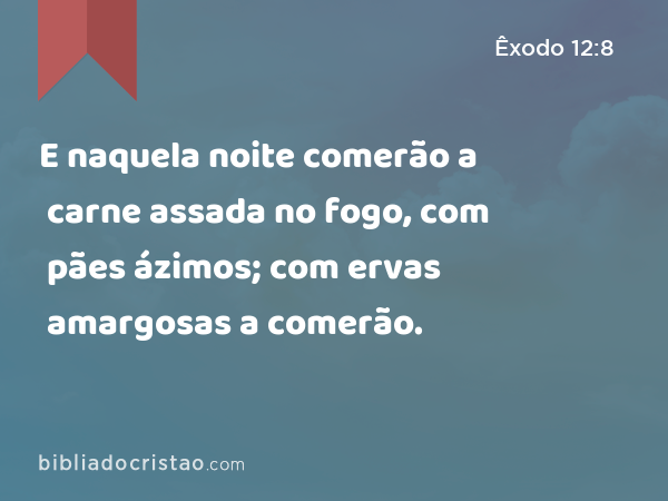 E naquela noite comerão a carne assada no fogo, com pães ázimos; com ervas amargosas a comerão. - Êxodo 12:8