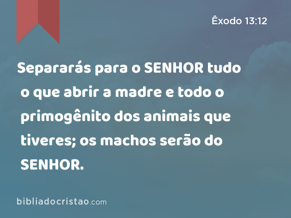 Separarás para o SENHOR tudo o que abrir a madre e todo o primogênito dos animais que tiveres; os machos serão do SENHOR. - Êxodo 13:12