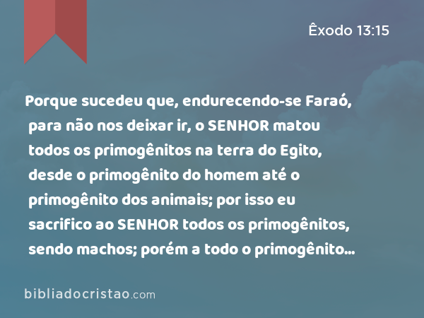 Porque sucedeu que, endurecendo-se Faraó, para não nos deixar ir, o SENHOR matou todos os primogênitos na terra do Egito, desde o primogênito do homem até o primogênito dos animais; por isso eu sacrifico ao SENHOR todos os primogênitos, sendo machos; porém a todo o primogênito de meus filhos eu resgato. - Êxodo 13:15