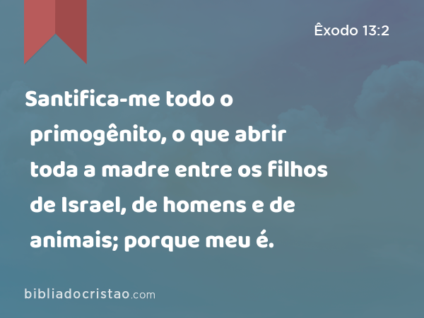 Santifica-me todo o primogênito, o que abrir toda a madre entre os filhos de Israel, de homens e de animais; porque meu é. - Êxodo 13:2