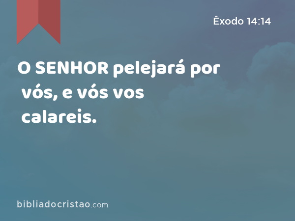 O SENHOR pelejará por vós, e vós vos calareis. - Êxodo 14:14