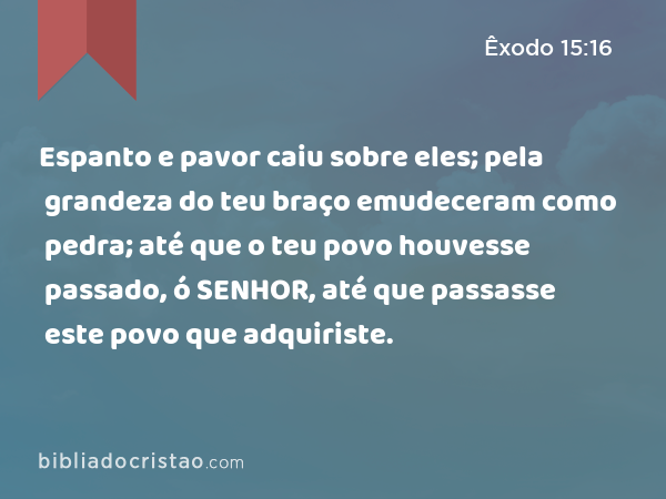 Espanto e pavor caiu sobre eles; pela grandeza do teu braço emudeceram como pedra; até que o teu povo houvesse passado, ó SENHOR, até que passasse este povo que adquiriste. - Êxodo 15:16