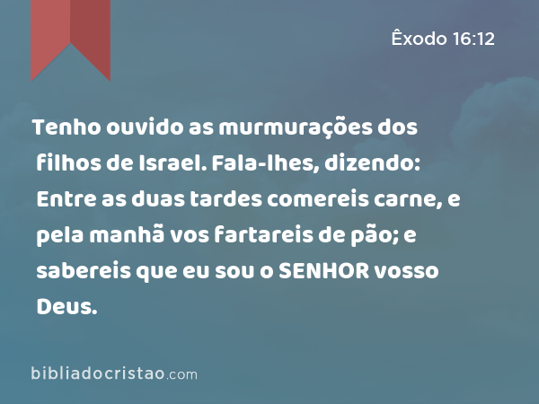 Tenho ouvido as murmurações dos filhos de Israel. Fala-lhes, dizendo: Entre as duas tardes comereis carne, e pela manhã vos fartareis de pão; e sabereis que eu sou o SENHOR vosso Deus. - Êxodo 16:12