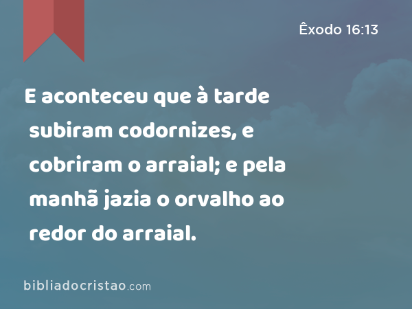 E aconteceu que à tarde subiram codornizes, e cobriram o arraial; e pela manhã jazia o orvalho ao redor do arraial. - Êxodo 16:13