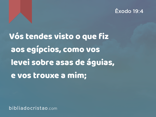 Vós tendes visto o que fiz aos egípcios, como vos levei sobre asas de águias, e vos trouxe a mim; - Êxodo 19:4