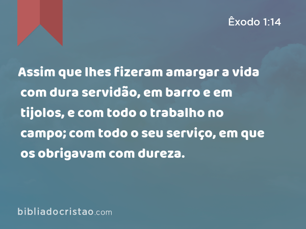 Assim que lhes fizeram amargar a vida com dura servidão, em barro e em tijolos, e com todo o trabalho no campo; com todo o seu serviço, em que os obrigavam com dureza. - Êxodo 1:14