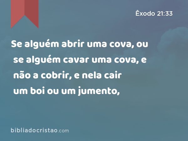 Se alguém abrir uma cova, ou se alguém cavar uma cova, e não a cobrir, e nela cair um boi ou um jumento, - Êxodo 21:33