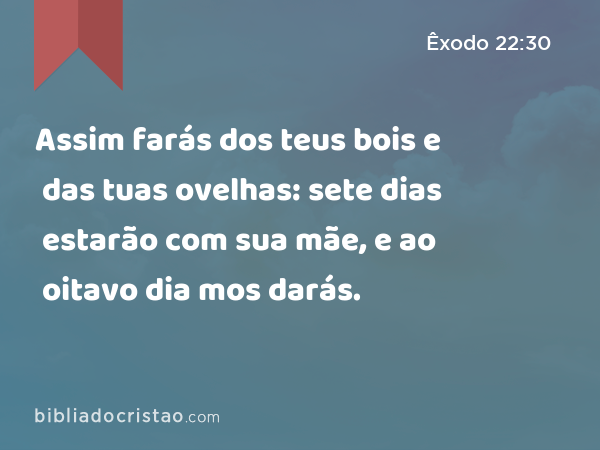 Assim farás dos teus bois e das tuas ovelhas: sete dias estarão com sua mãe, e ao oitavo dia mos darás. - Êxodo 22:30