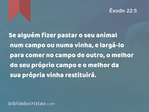 Se alguém fizer pastar o seu animal num campo ou numa vinha, e largá-lo para comer no campo de outro, o melhor do seu próprio campo e o melhor da sua própria vinha restituirá. - Êxodo 22:5