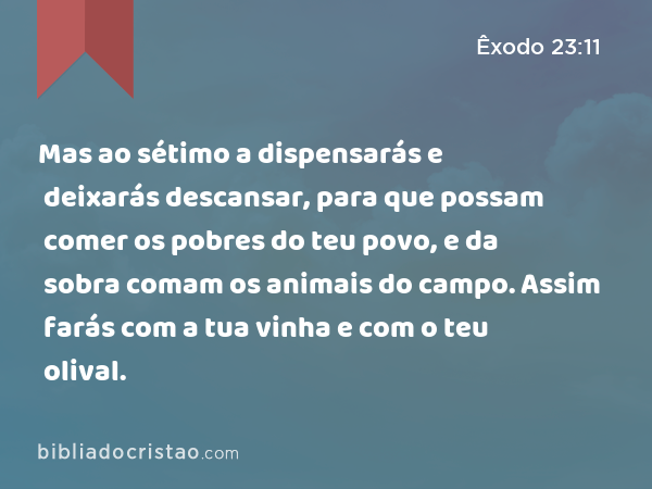 Mas ao sétimo a dispensarás e deixarás descansar, para que possam comer os pobres do teu povo, e da sobra comam os animais do campo. Assim farás com a tua vinha e com o teu olival. - Êxodo 23:11