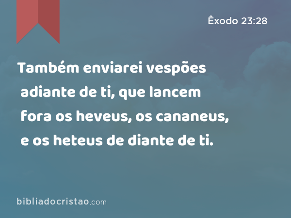 Também enviarei vespões adiante de ti, que lancem fora os heveus, os cananeus, e os heteus de diante de ti. - Êxodo 23:28