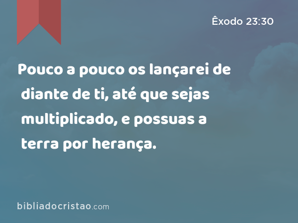 Pouco a pouco os lançarei de diante de ti, até que sejas multiplicado, e possuas a terra por herança. - Êxodo 23:30