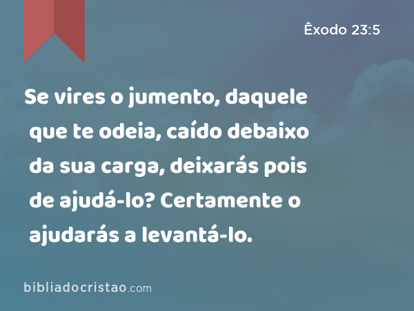 Se vires o jumento, daquele que te odeia, caído debaixo da sua carga, deixarás pois de ajudá-lo? Certamente o ajudarás a levantá-lo. - Êxodo 23:5