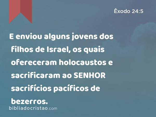 E enviou alguns jovens dos filhos de Israel, os quais ofereceram holocaustos e sacrificaram ao SENHOR sacrifícios pacíficos de bezerros. - Êxodo 24:5