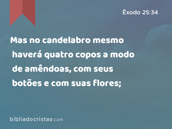 Mas no candelabro mesmo haverá quatro copos a modo de amêndoas, com seus botões e com suas flores; - Êxodo 25:34