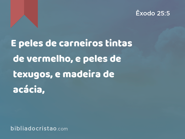 E peles de carneiros tintas de vermelho, e peles de texugos, e madeira de acácia, - Êxodo 25:5