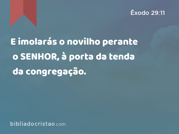 E imolarás o novilho perante o SENHOR, à porta da tenda da congregação. - Êxodo 29:11