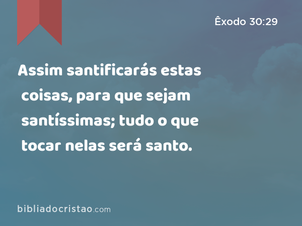 Assim santificarás estas coisas, para que sejam santíssimas; tudo o que tocar nelas será santo. - Êxodo 30:29