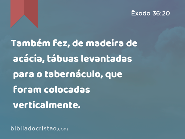 Também fez, de madeira de acácia, tábuas levantadas para o tabernáculo, que foram colocadas verticalmente. - Êxodo 36:20