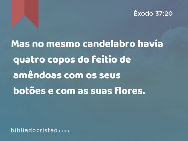 Mas no mesmo candelabro havia quatro copos do feitio de amêndoas com os seus botões e com as suas flores. - Êxodo 37:20