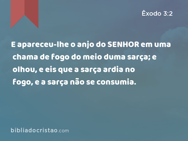 E apareceu-lhe o anjo do SENHOR em uma chama de fogo do meio duma sarça; e olhou, e eis que a sarça ardia no fogo, e a sarça não se consumia. - Êxodo 3:2