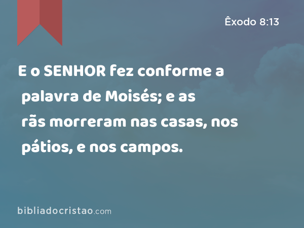 E o SENHOR fez conforme a palavra de Moisés; e as rãs morreram nas casas, nos pátios, e nos campos. - Êxodo 8:13