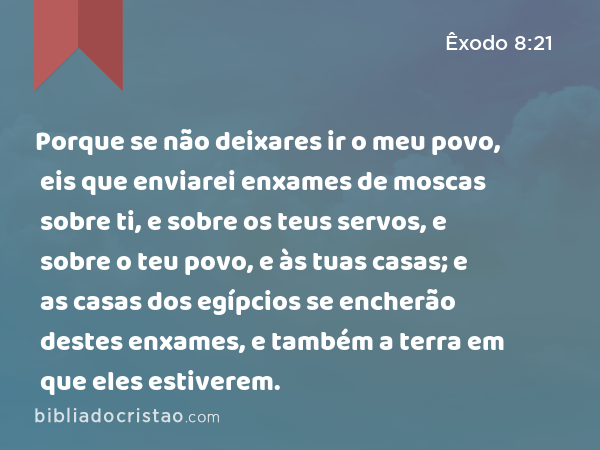 Porque se não deixares ir o meu povo, eis que enviarei enxames de moscas sobre ti, e sobre os teus servos, e sobre o teu povo, e às tuas casas; e as casas dos egípcios se encherão destes enxames, e também a terra em que eles estiverem. - Êxodo 8:21