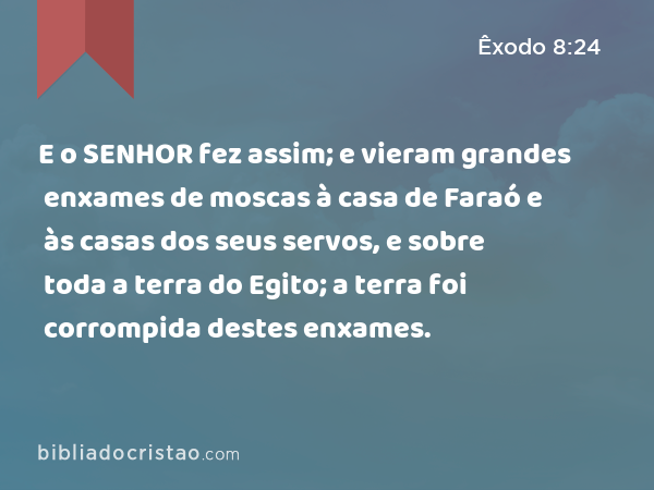 E o SENHOR fez assim; e vieram grandes enxames de moscas à casa de Faraó e às casas dos seus servos, e sobre toda a terra do Egito; a terra foi corrompida destes enxames. - Êxodo 8:24