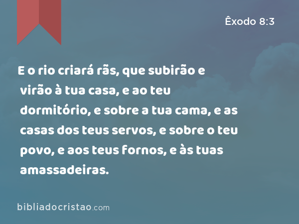 E o rio criará rãs, que subirão e virão à tua casa, e ao teu dormitório, e sobre a tua cama, e as casas dos teus servos, e sobre o teu povo, e aos teus fornos, e às tuas amassadeiras. - Êxodo 8:3