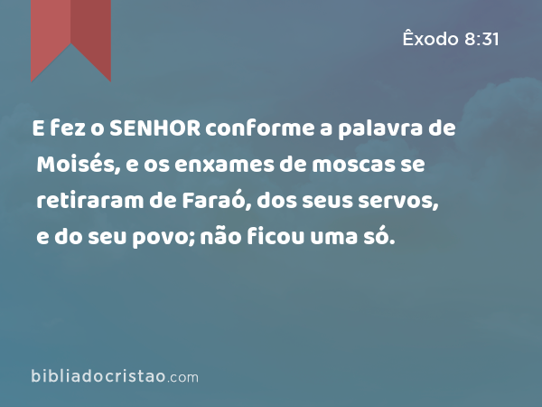 E fez o SENHOR conforme a palavra de Moisés, e os enxames de moscas se retiraram de Faraó, dos seus servos, e do seu povo; não ficou uma só. - Êxodo 8:31