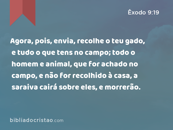 Agora, pois, envia, recolhe o teu gado, e tudo o que tens no campo; todo o homem e animal, que for achado no campo, e não for recolhido à casa, a saraiva cairá sobre eles, e morrerão. - Êxodo 9:19