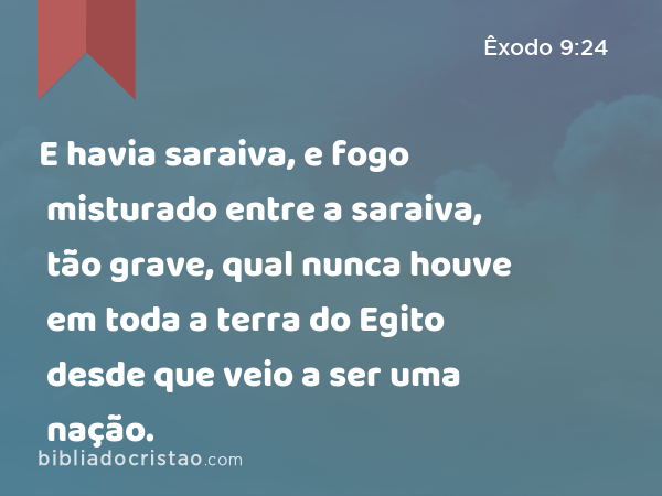 E havia saraiva, e fogo misturado entre a saraiva, tão grave, qual nunca houve em toda a terra do Egito desde que veio a ser uma nação. - Êxodo 9:24