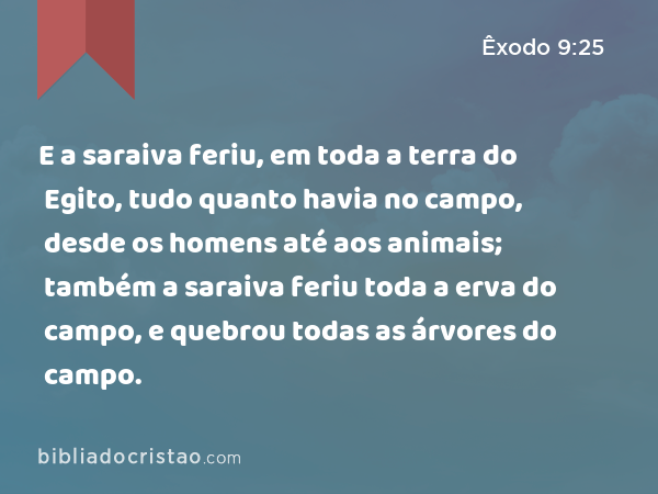 E a saraiva feriu, em toda a terra do Egito, tudo quanto havia no campo, desde os homens até aos animais; também a saraiva feriu toda a erva do campo, e quebrou todas as árvores do campo. - Êxodo 9:25