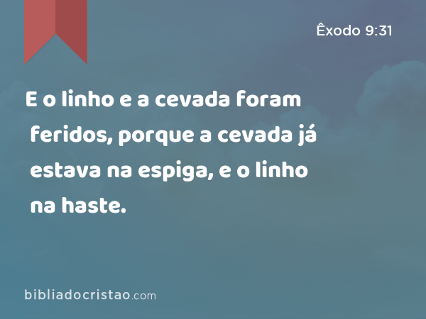 E o linho e a cevada foram feridos, porque a cevada já estava na espiga, e o linho na haste. - Êxodo 9:31